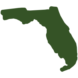 Online Loans in Florida